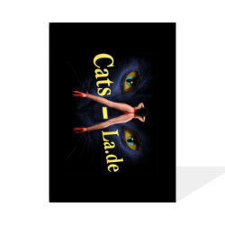 <a href="https://printkit.app/p/siShOke/info">Cats Fragebogen V2</a>